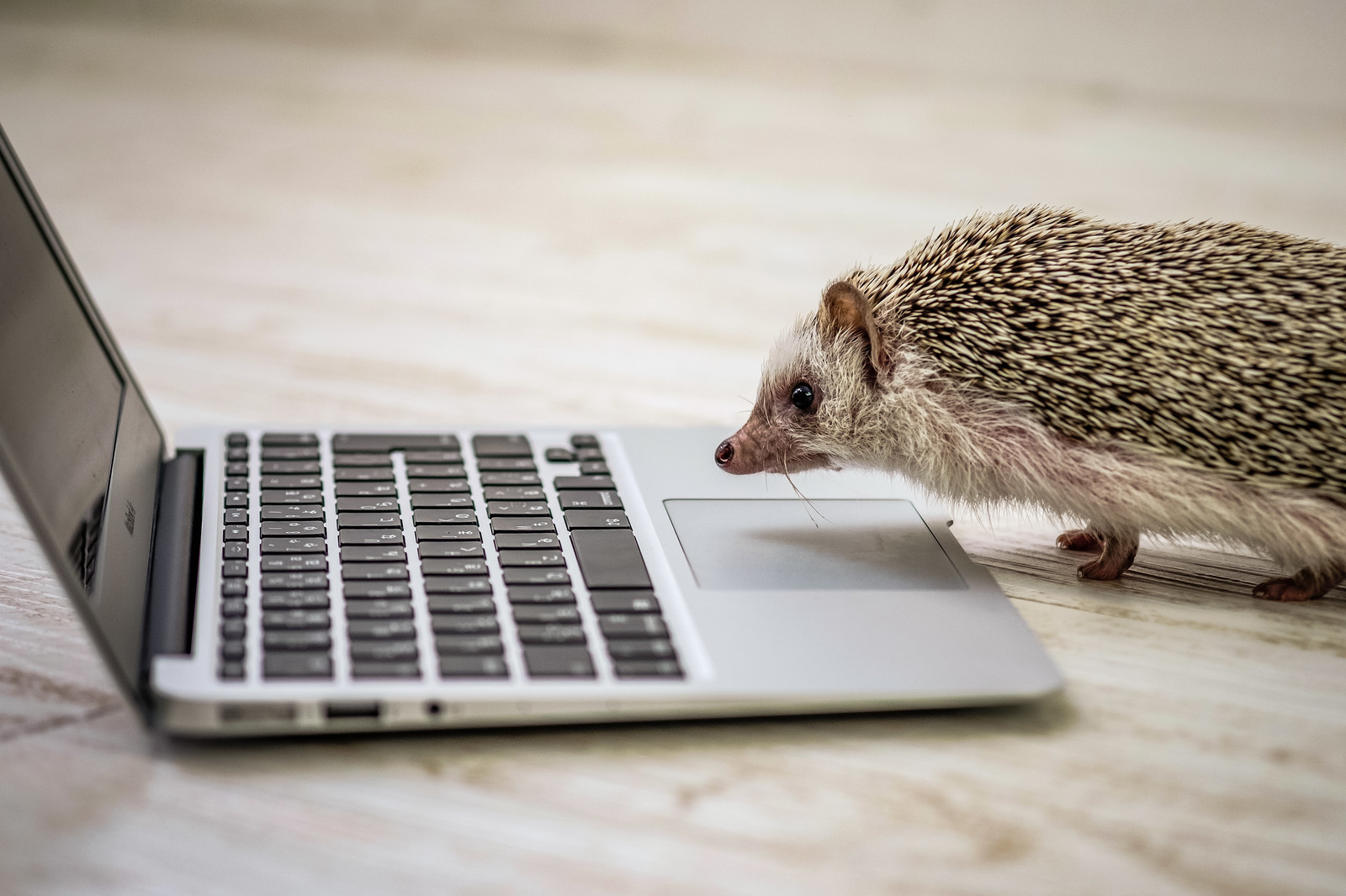 Article content