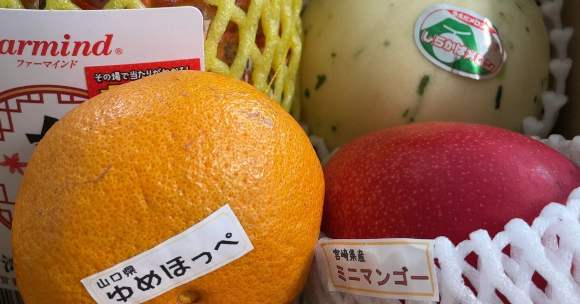 【福利厚生】今月の果物たち(2023年4月版)