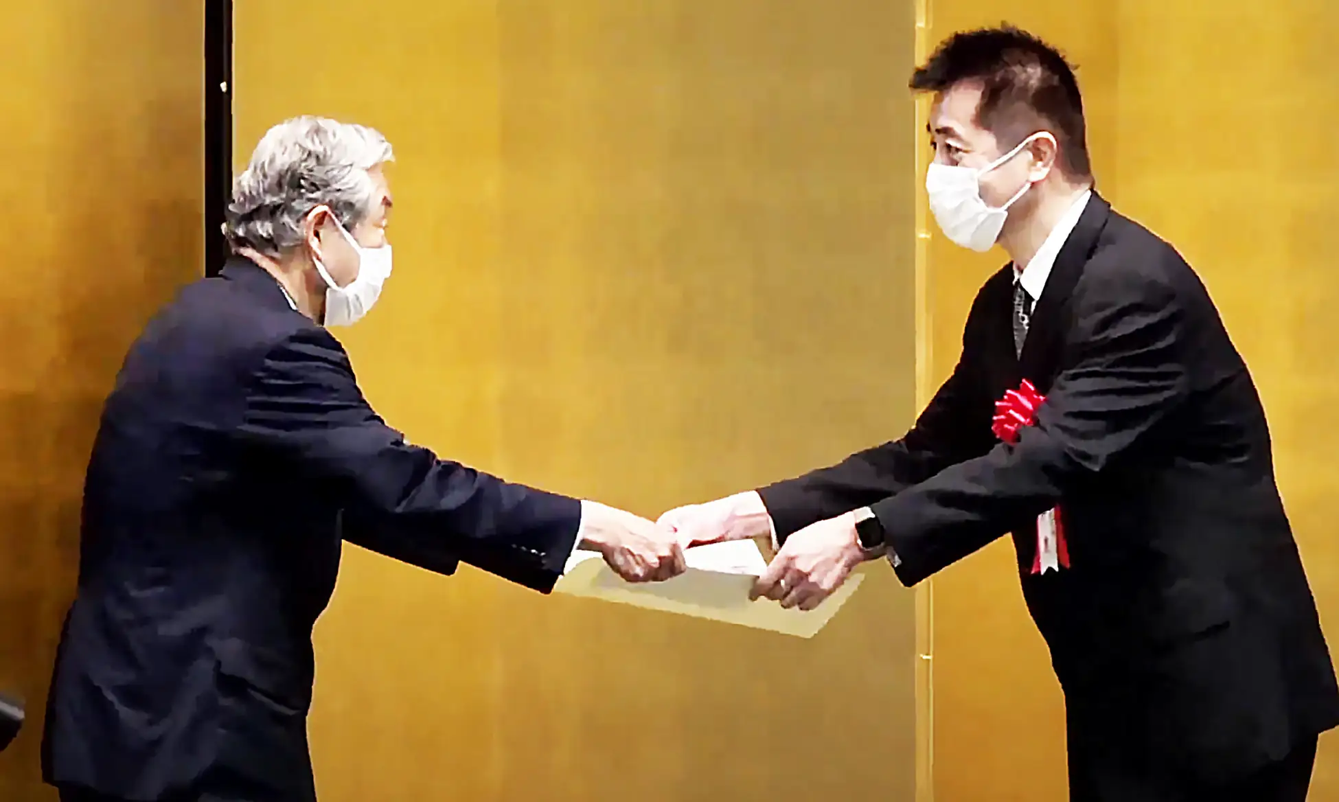 小さな実験が、賞をいただくまでの道のり