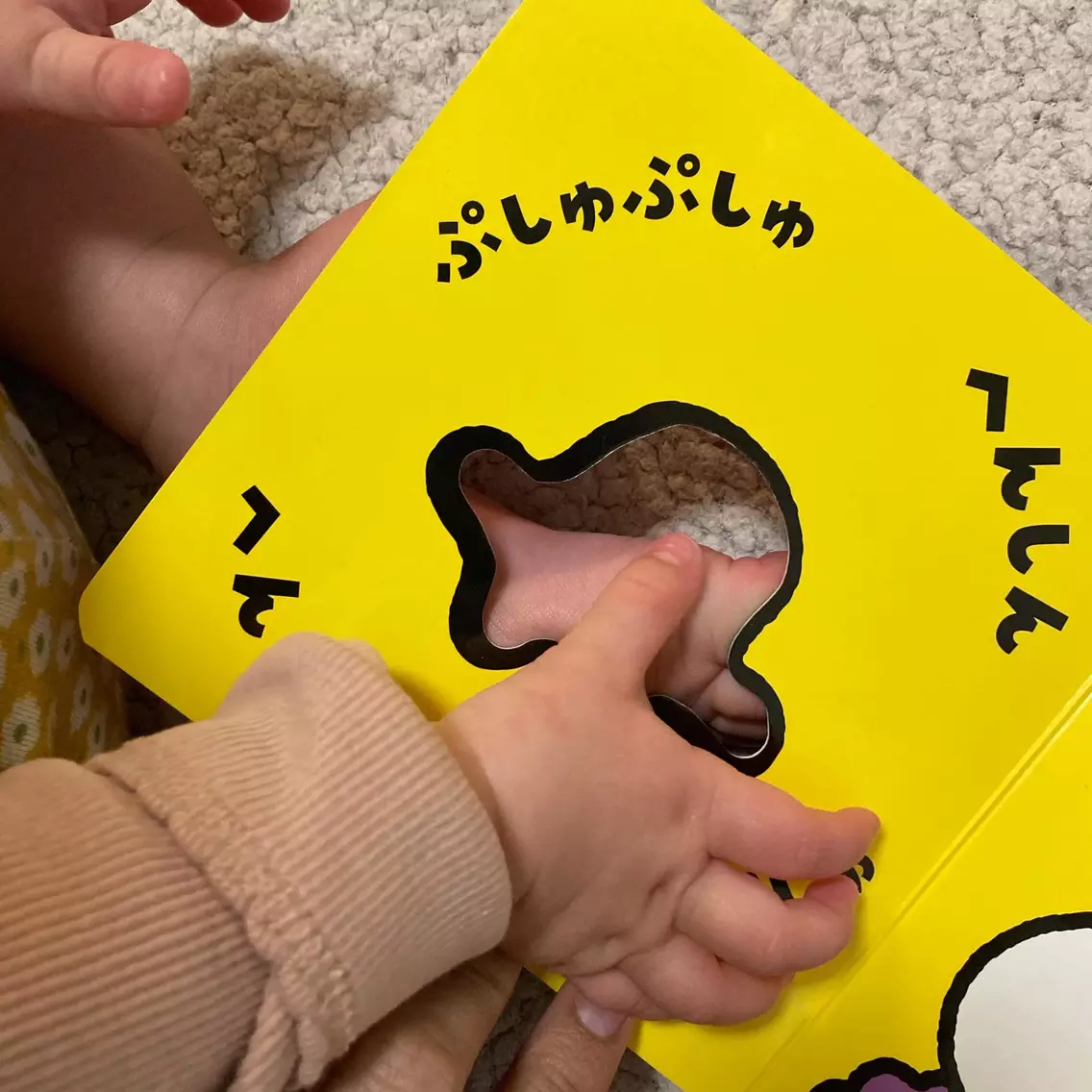 【社員コラム】ついに穴を発見しました