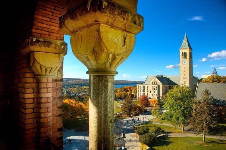 Article content