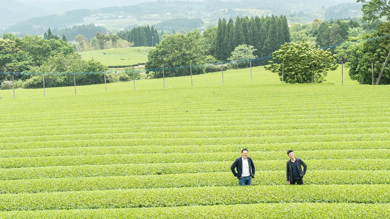 鹿児島県霧島にある茶畑。高い木々に囲まれた茶畑は飛散農薬の心配のありません。