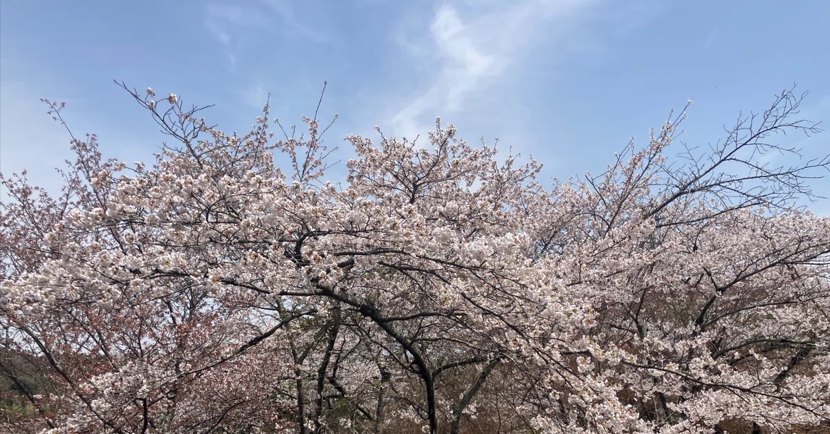4/15に誕生日を迎えて。
