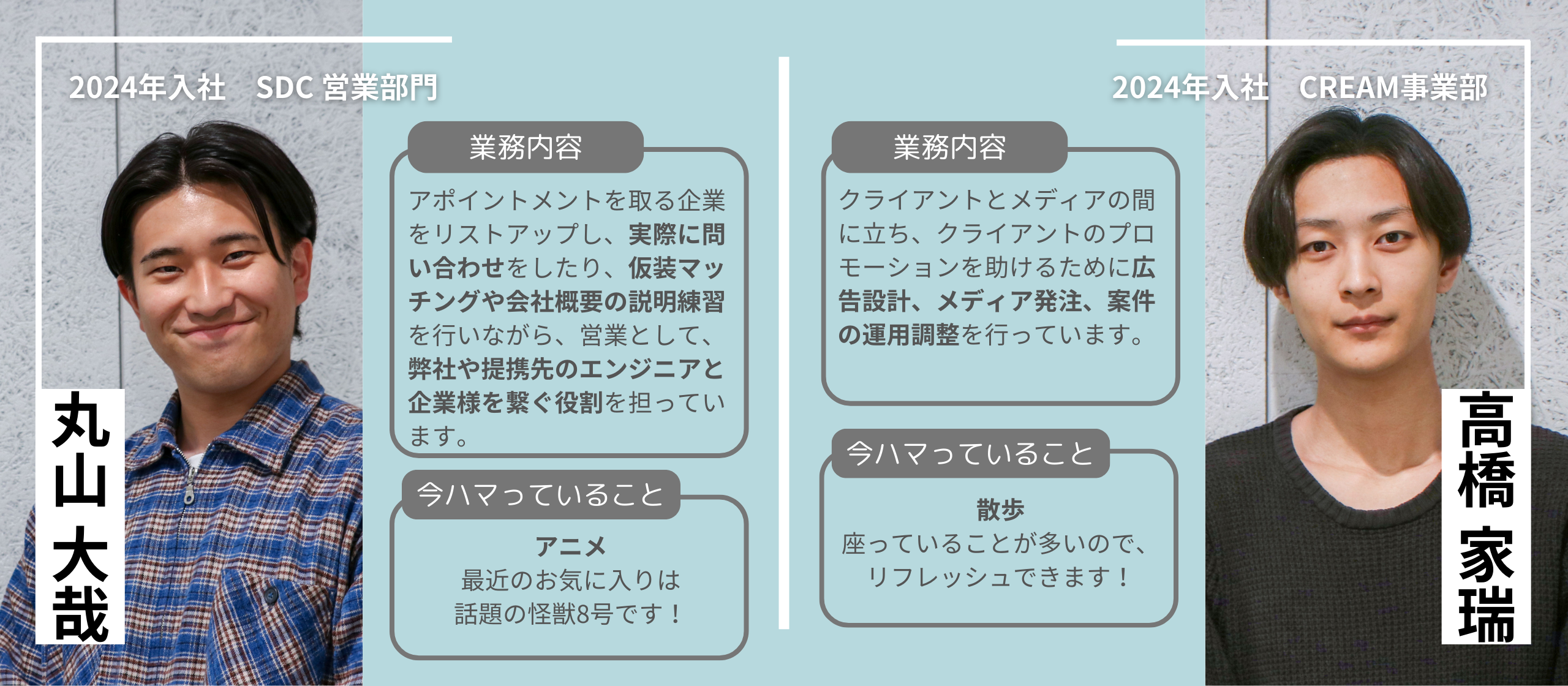 Article content