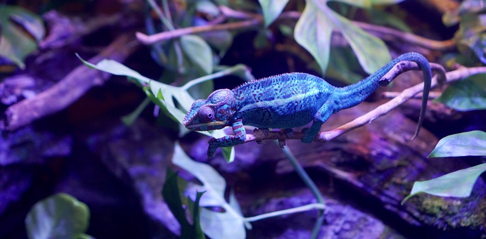 Article content