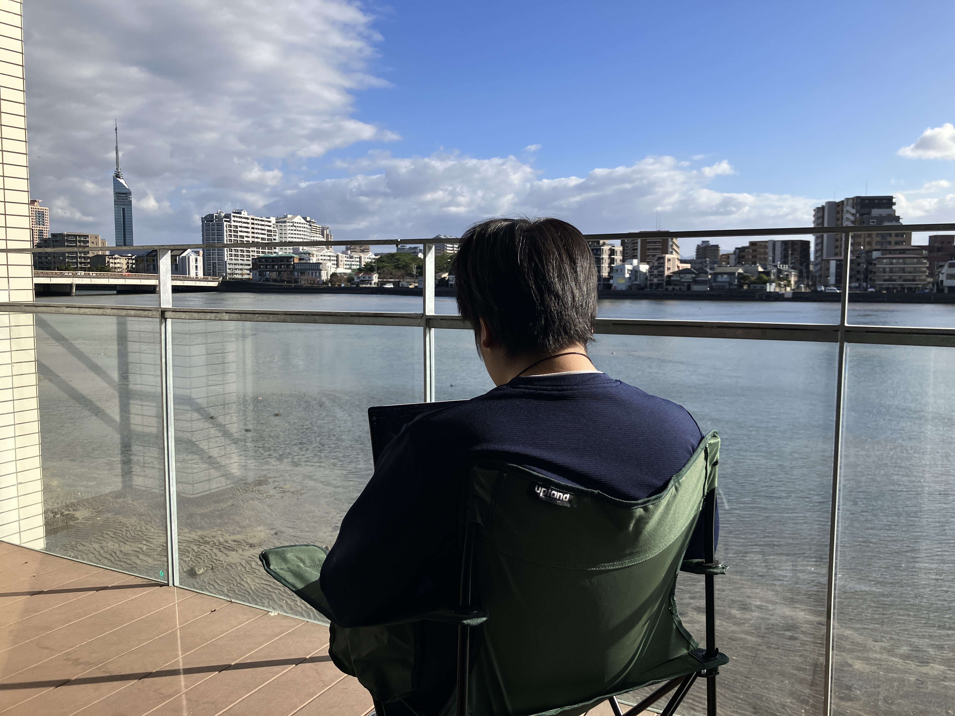 Article content