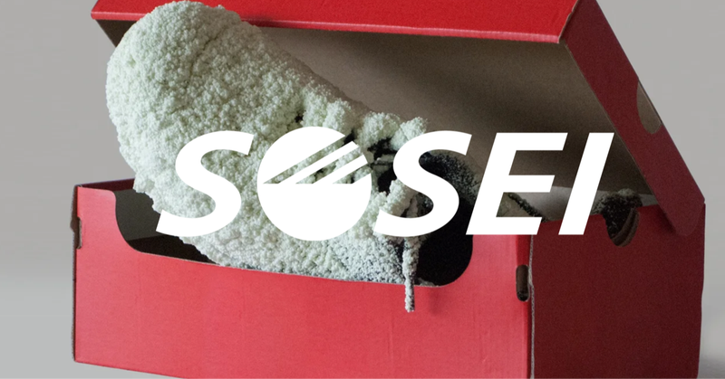 What  is「SOSEI」