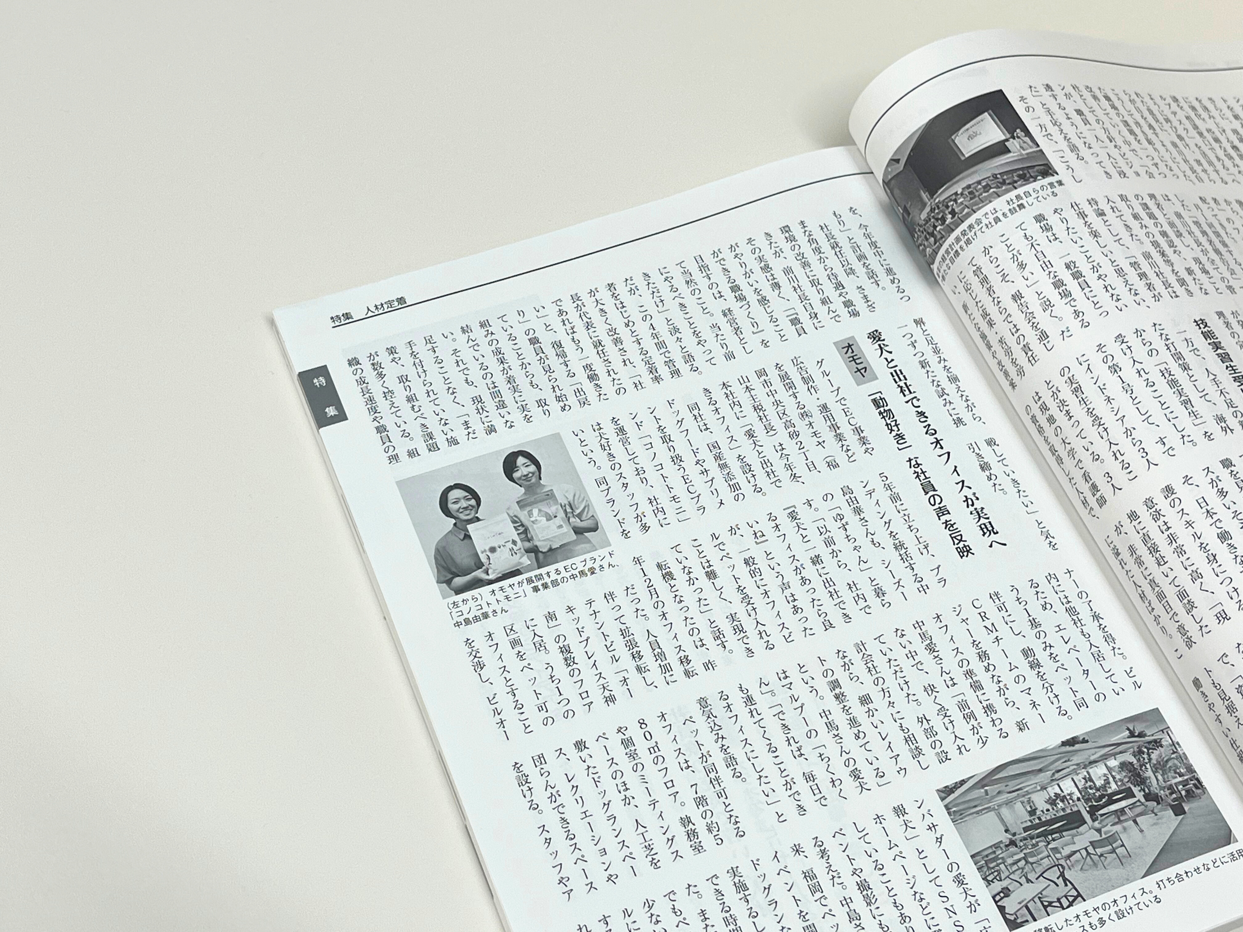 Article content