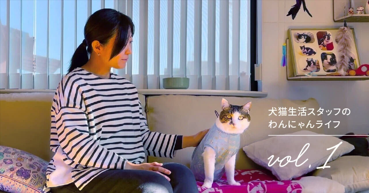 保護猫との運命的な出会いに導かれた「今」。人気インフルエンサーが犬猫生活で実現したいこと。