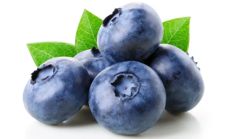 企業チャンネルでシュールなshorts動画がバズり中！？ わかさ生活【公式】YouTubeチャンネルをご紹介！！