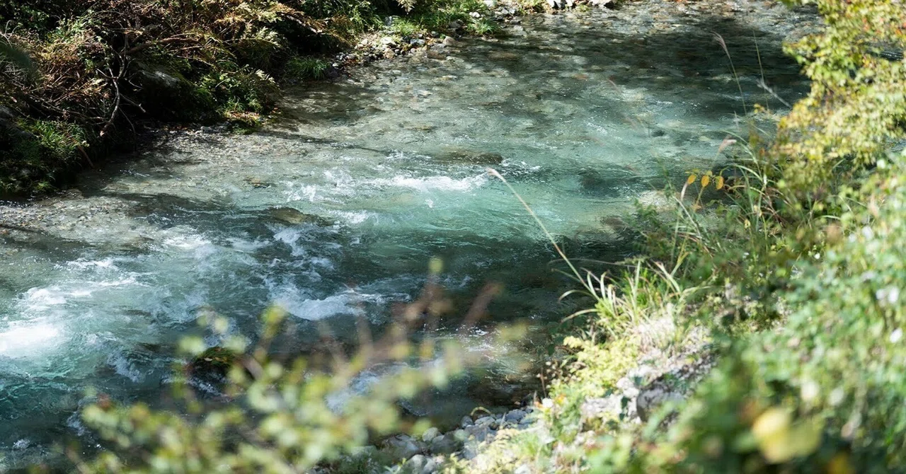 「捨てない」を「自分ごと」と捉えるために 〜秋川リバークリーンレポート〜