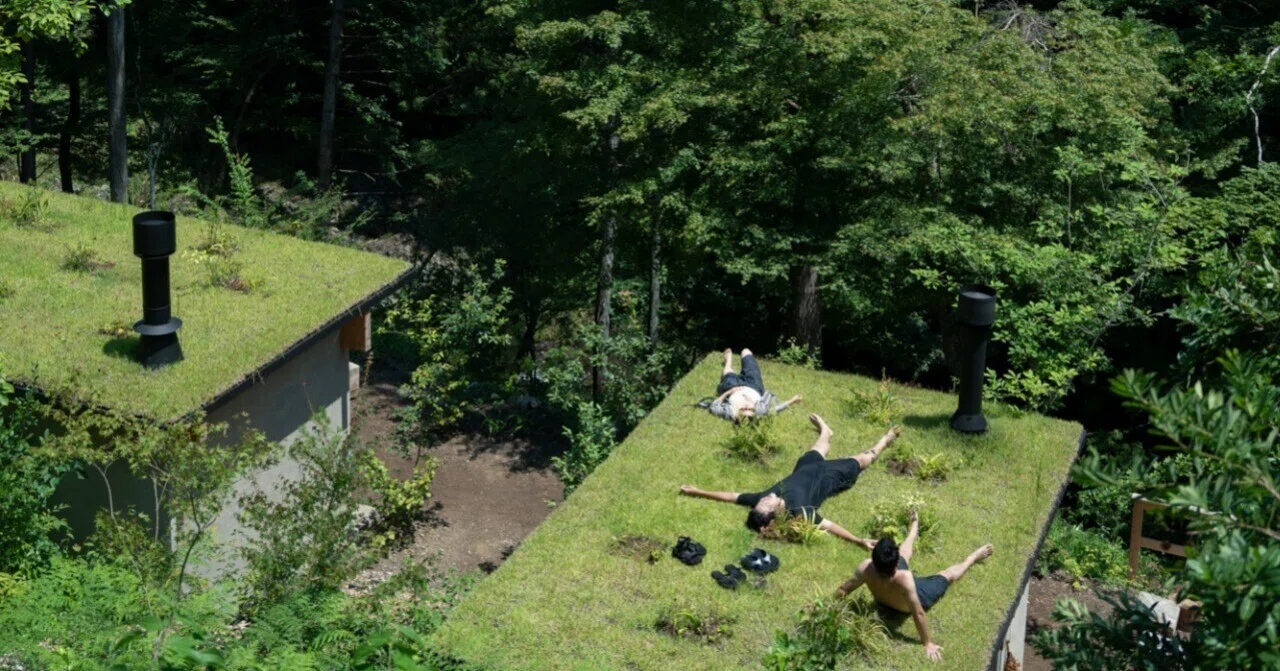 HINOKO SHELTERができるまで