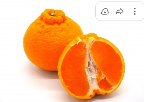 Article content