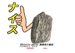 A cartoon hand holding a rock

AI-generated content may be incorrect.
