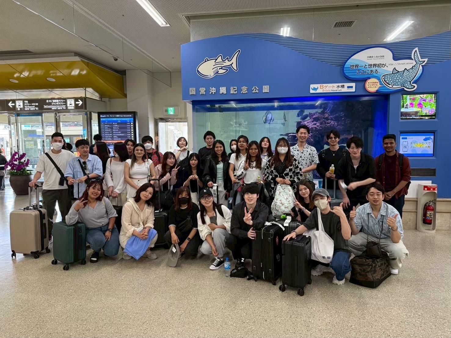 Article content