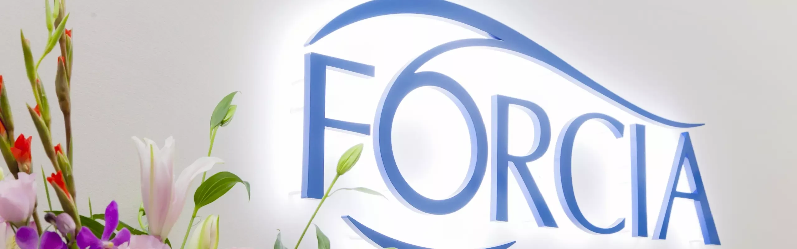 FORCIAサマーインターン2025開催記