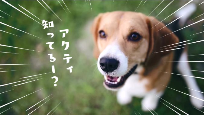 Article content