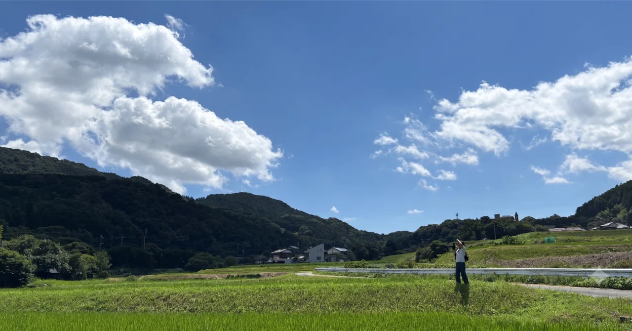 ラシンの夏休み