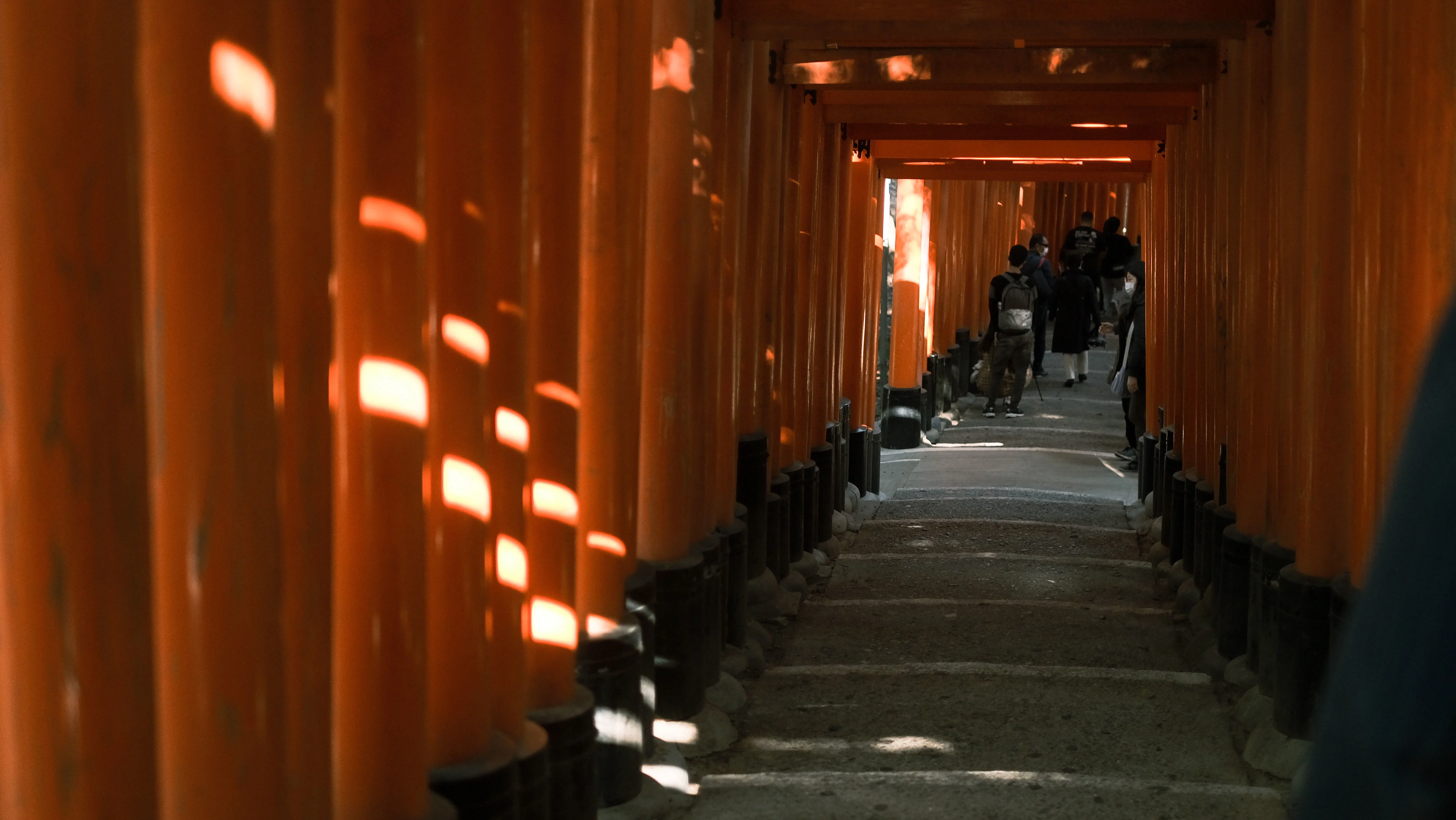 意志と文化を未来へ紡ぐ：Freewillと巡る京都旅