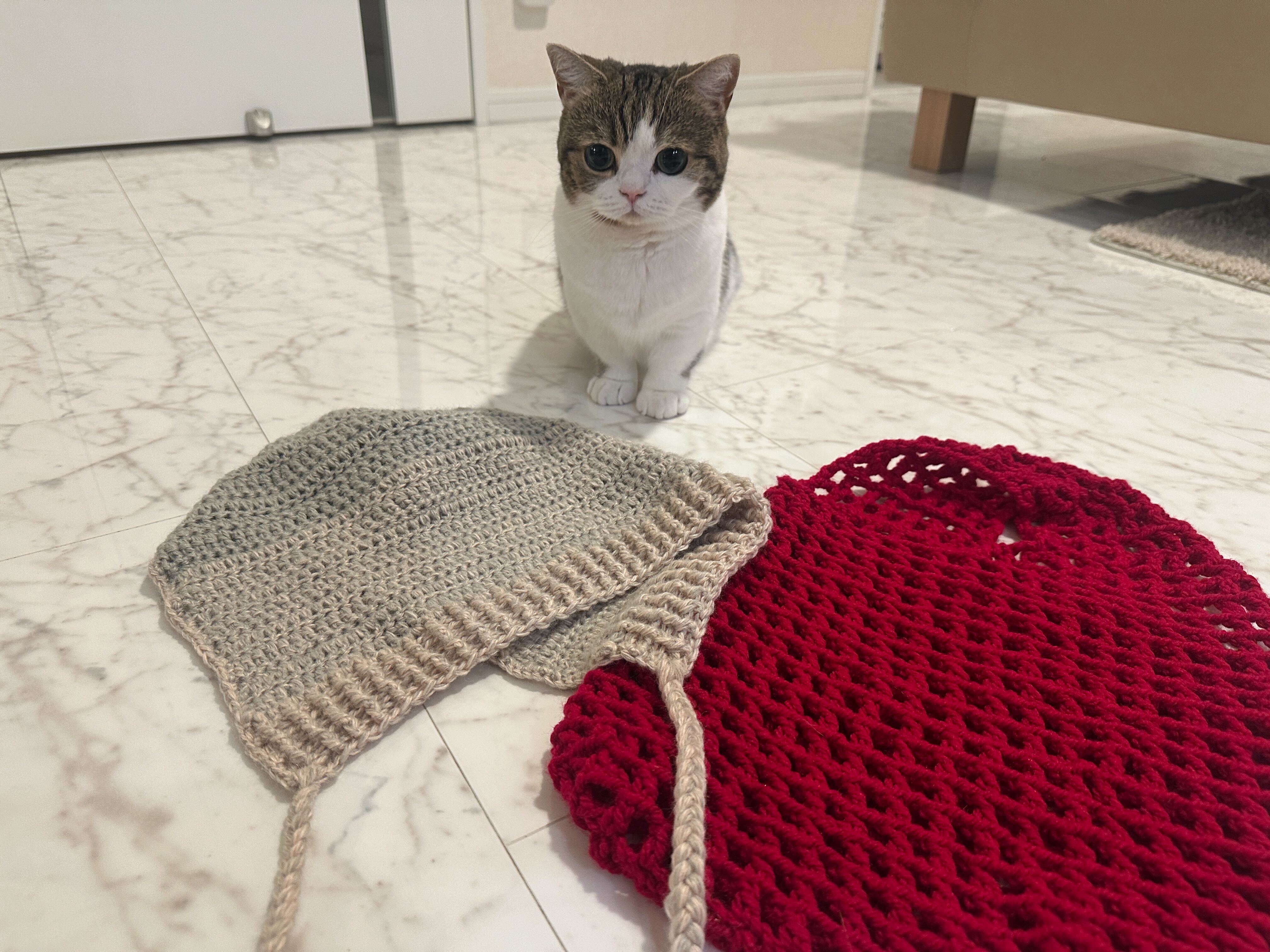 Article content