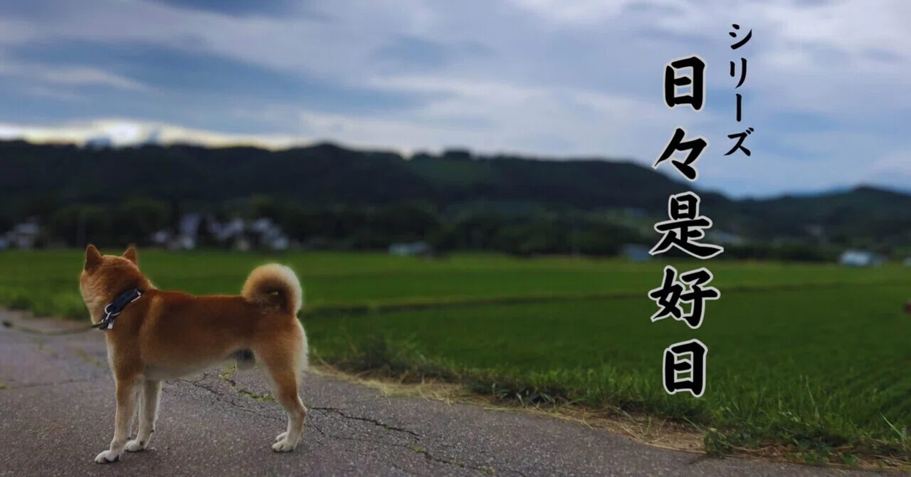 日々是好日 ～いま僕が「相談支援」を学ぶ理由～