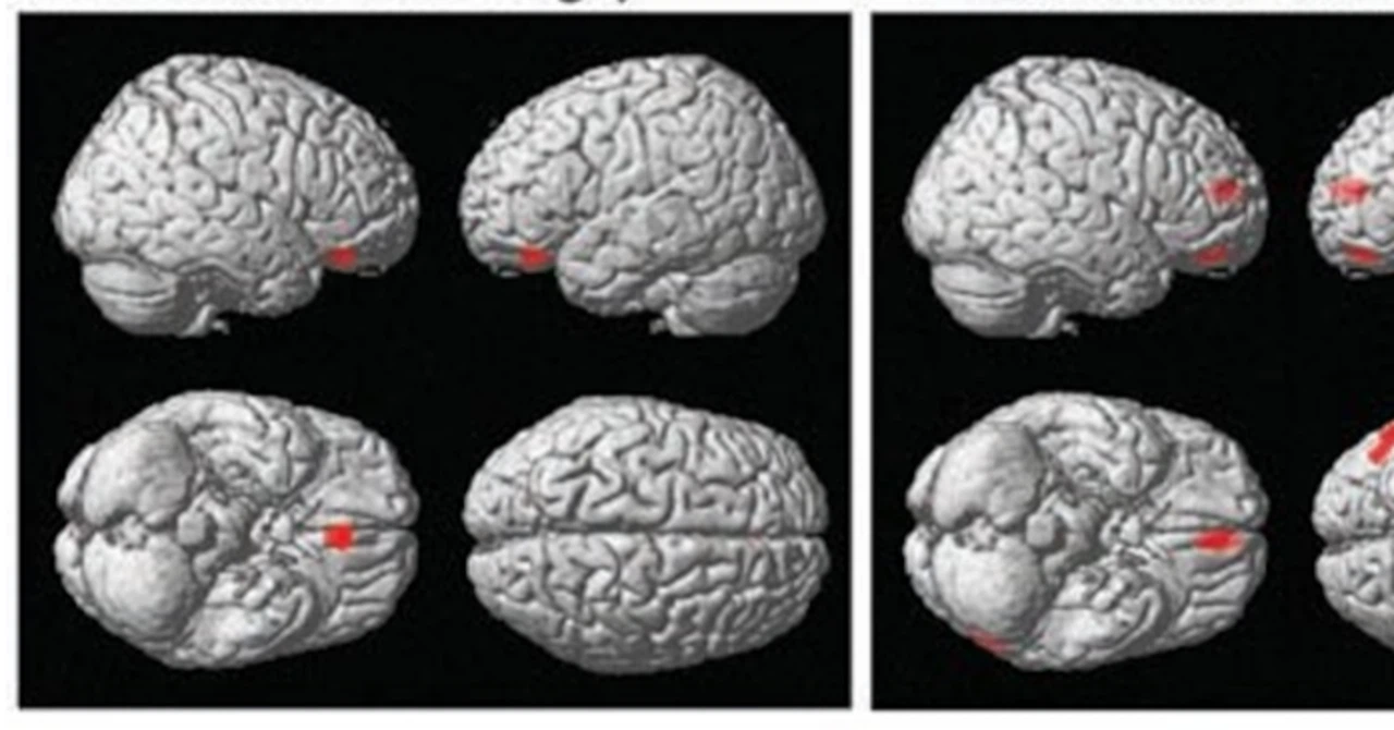 最新研究によるヒトが感じる美しさ・デザインの良さとはなにか？