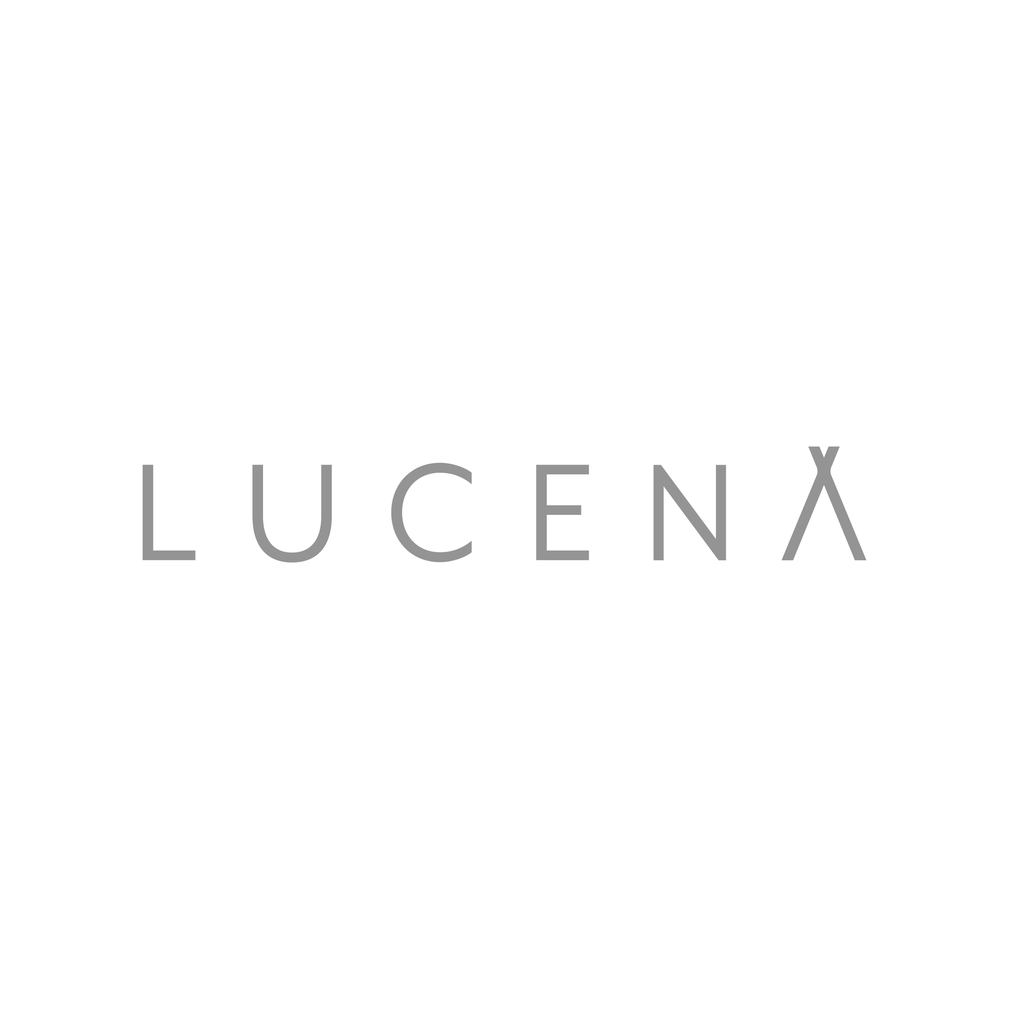 LUCENA株式会社の会社情報