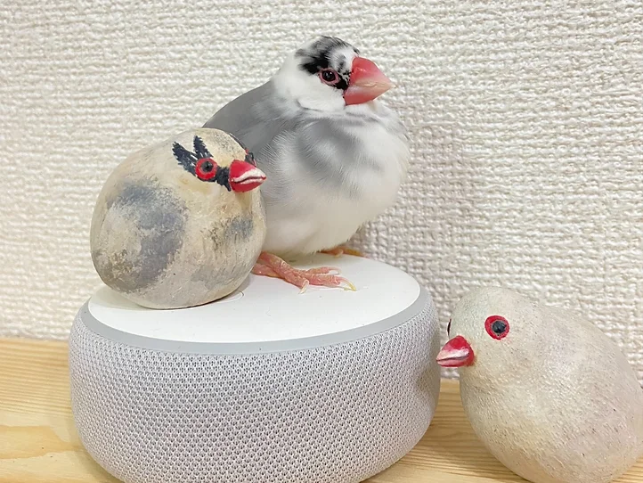 Article content