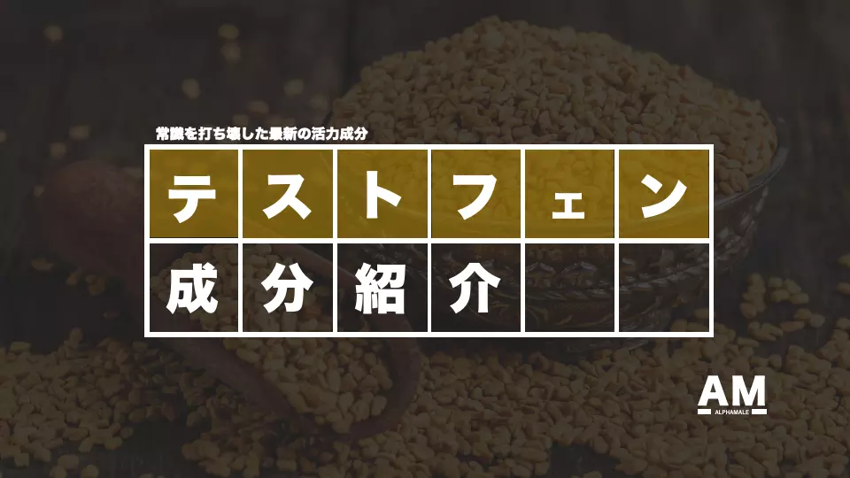 【徹底解説】男を高める『テストフェン』の効果5選