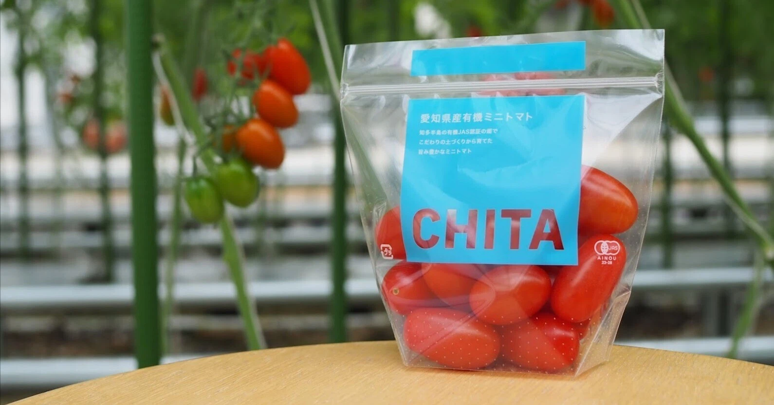 トクイテンのトマトに『CHITA』という名前をつけました