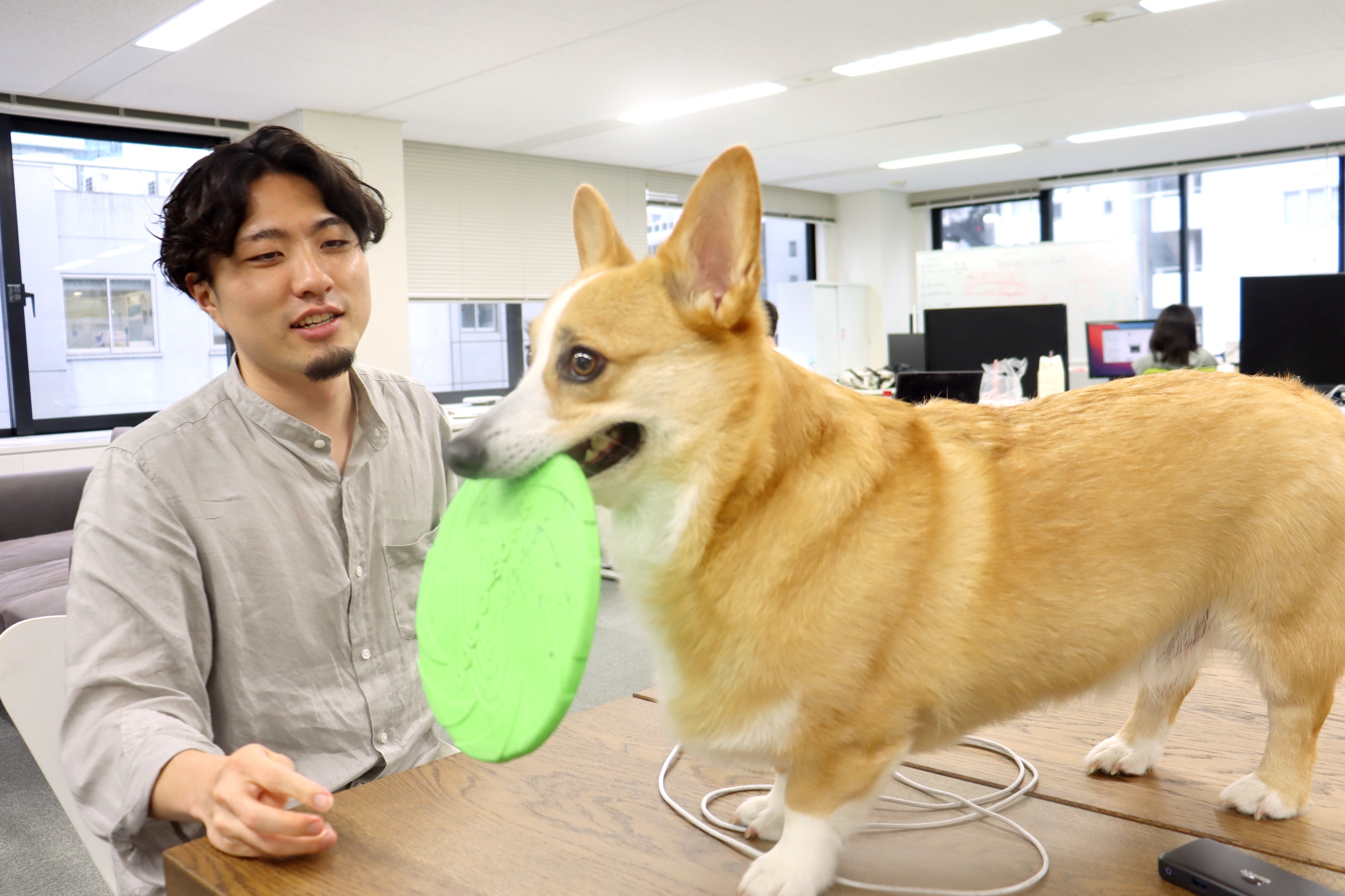 Article content